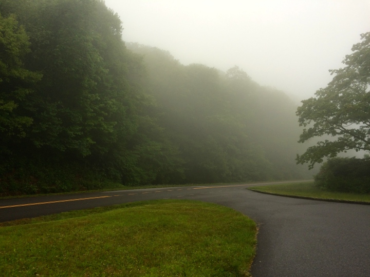 Just the start of the fog on the Blue Ridge Parkway